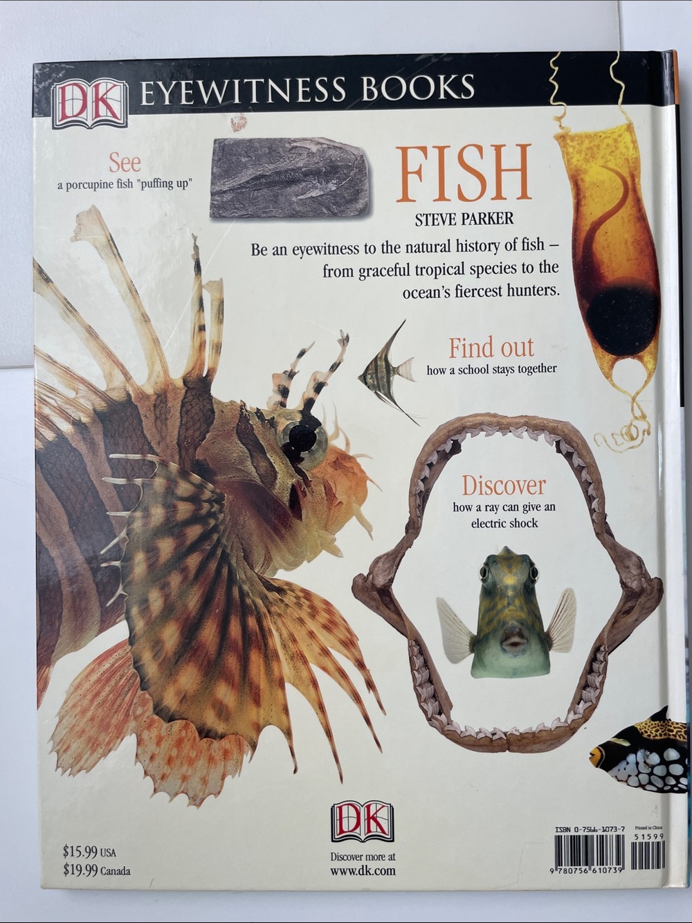 : Fish - Blue Cover - Picture 2 of 2